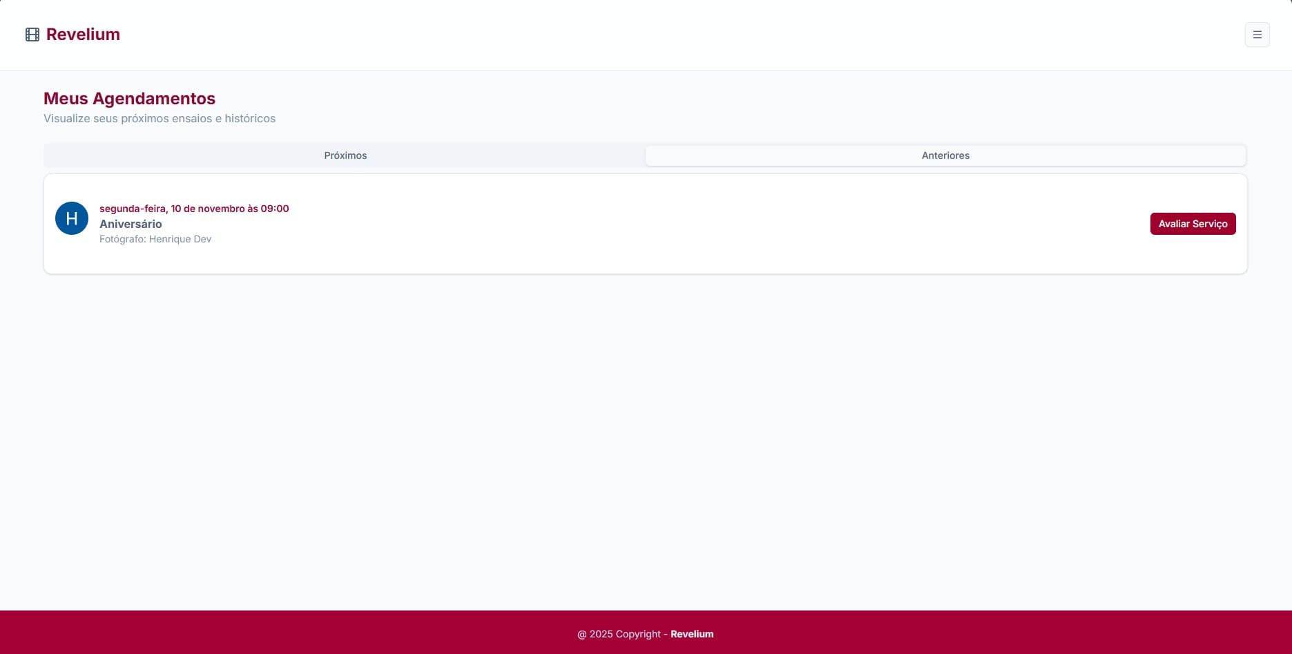 Dashboard do Revelium